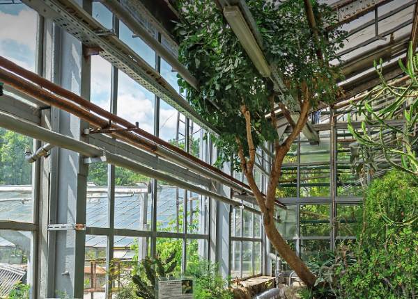 Зимний сад в городском парке в Фрязино